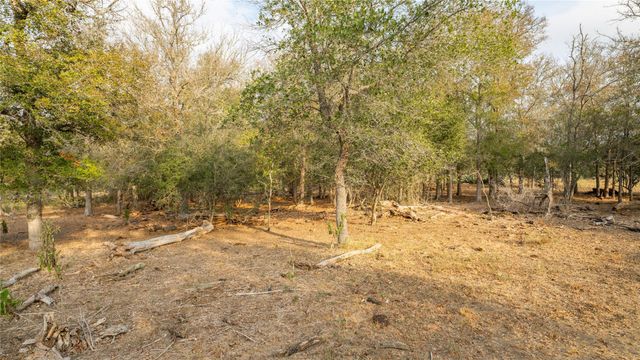 TBD TRACT 2 FM 3158, Dale, TX 78616