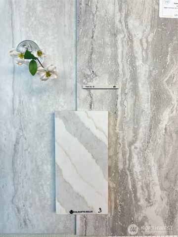 1323 Roland Street, Bellingham, WA 98229