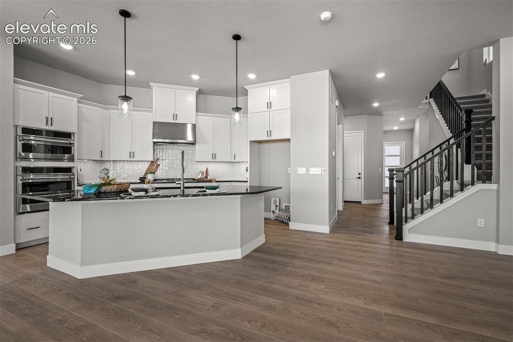 9030 Frolic View, Colorado Springs, CO 80924 — photo 4