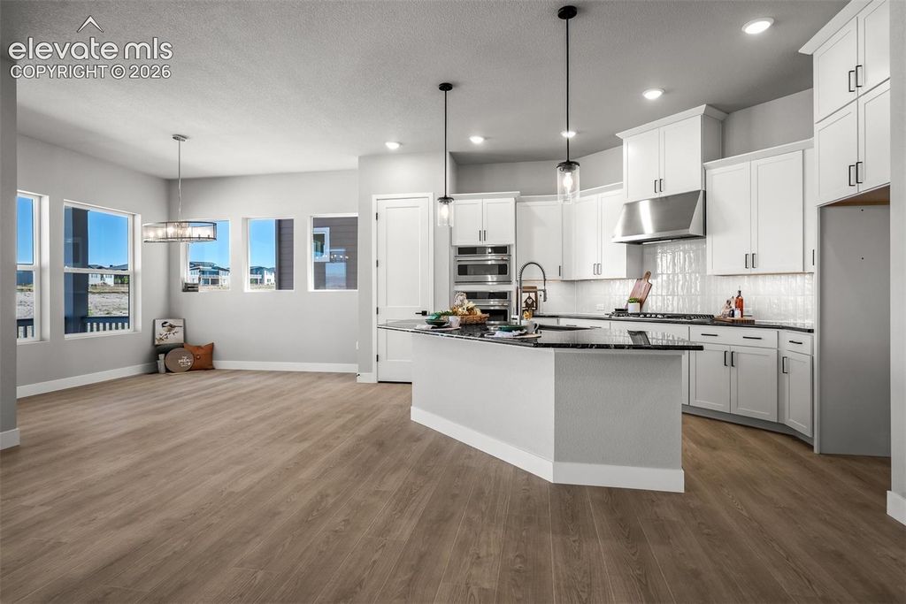 9030 Frolic View, Colorado Springs, CO 80924 — photo 5