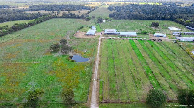 1954 E Fm 1375 Road E, Huntsville, TX 77340
