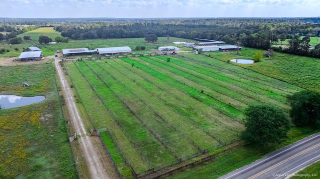 1954 E Fm 1375 Road E, Huntsville, TX 77340