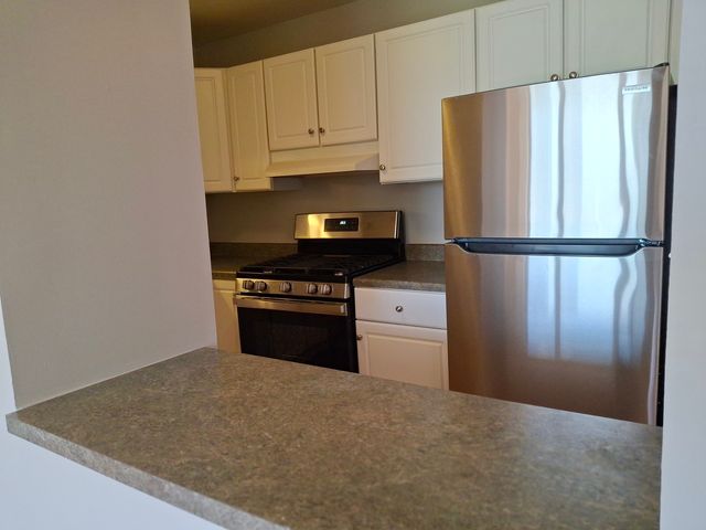 2605 S Indiana Avenue 1208, Chicago, IL 60616
