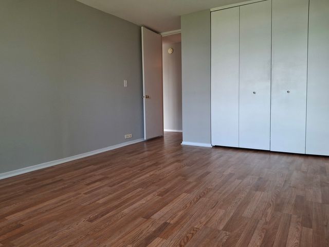 2605 S Indiana Avenue 1208, Chicago, IL 60616