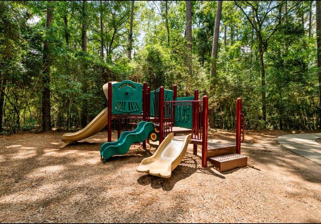 47 W Sage Creek Place, The Woodlands, TX 77382