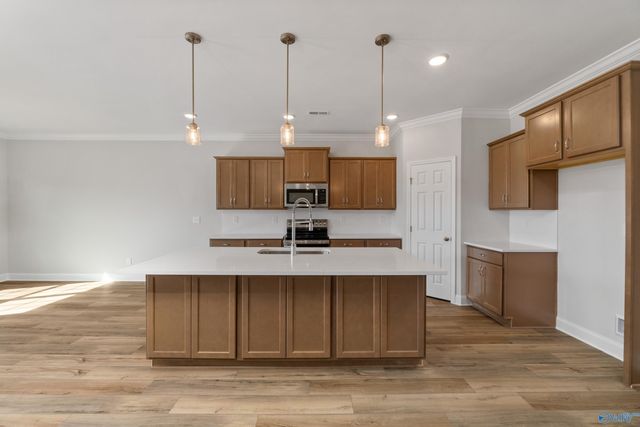 29295 Limestone Creek Way, Harvest, AL 35749