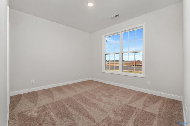 29295 Limestone Creek Way, Harvest, AL 35749