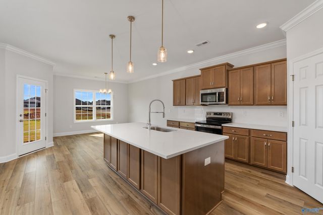 29295 Limestone Creek Way, Harvest, AL 35749