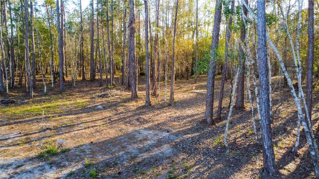 0 STATE ROAD 33, Clermont, FL 34714