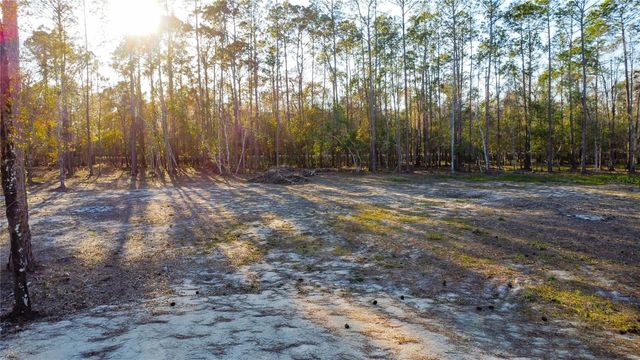 0 STATE ROAD 33, Clermont, FL 34714