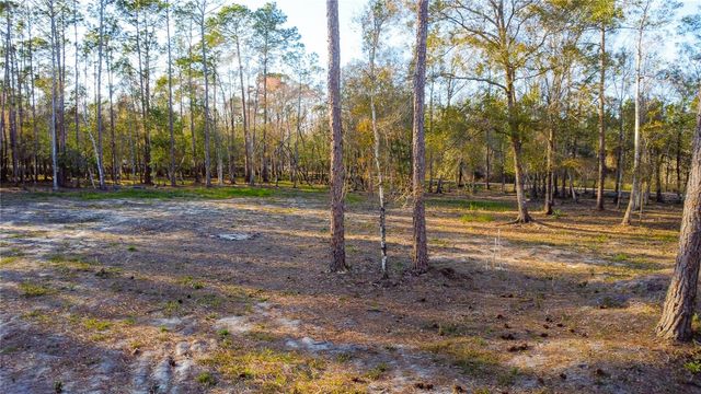0 STATE ROAD 33, Clermont, FL 34714