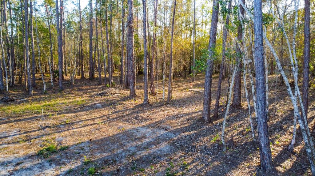 Image 11 of property listing at 0 STATE ROAD 33, Clermont, FL 34714