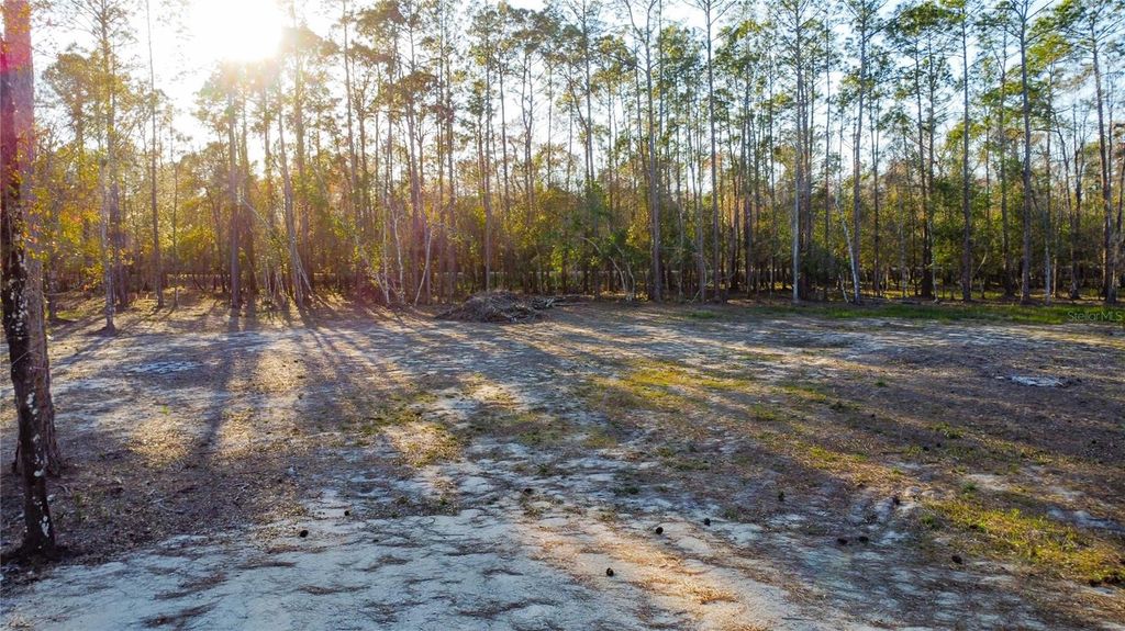 Image 13 of property listing at 0 STATE ROAD 33, Clermont, FL 34714