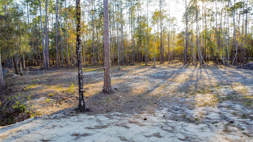 Image 14 of property listing at 0 STATE ROAD 33, Clermont, FL 34714