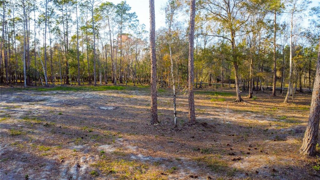 Image 15 of property listing at 0 STATE ROAD 33, Clermont, FL 34714