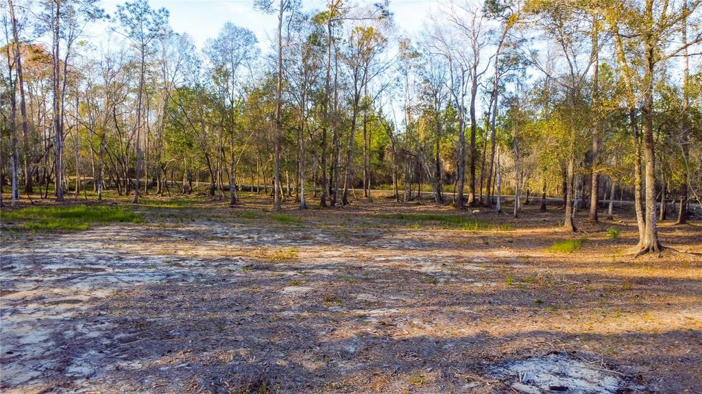 Image 16 of property listing at 0 STATE ROAD 33, Clermont, FL 34714