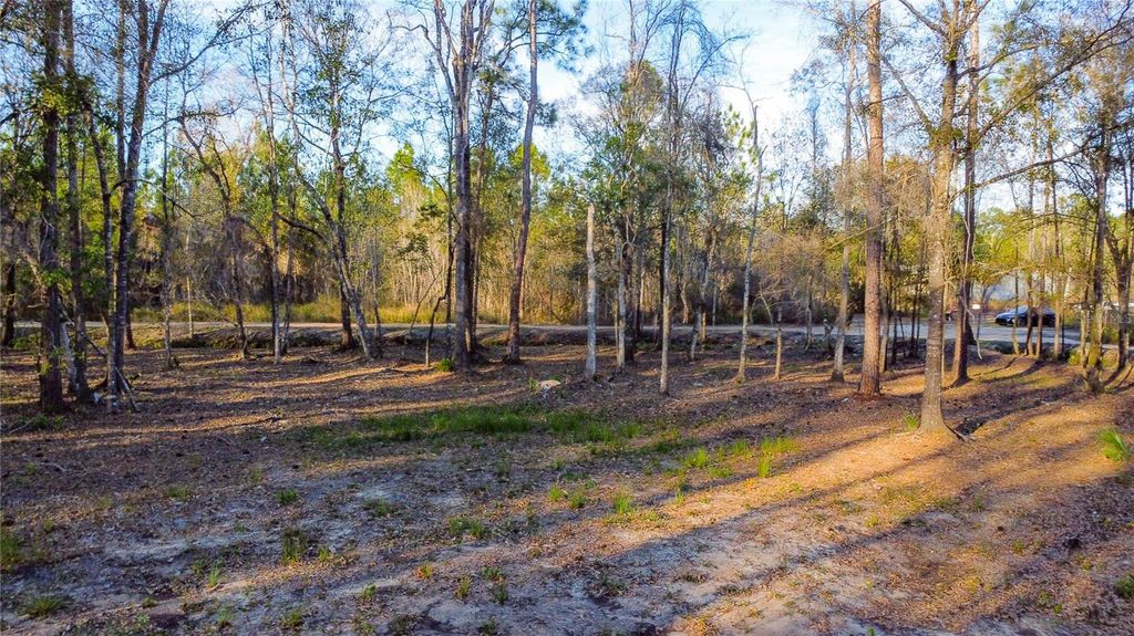 Image 17 of property listing at 0 STATE ROAD 33, Clermont, FL 34714