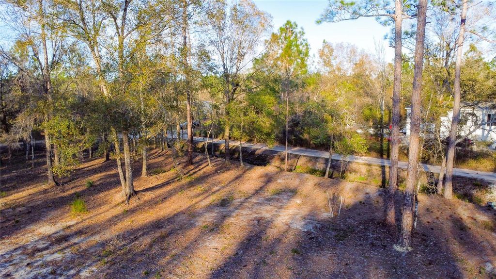 Image 18 of property listing at 0 STATE ROAD 33, Clermont, FL 34714