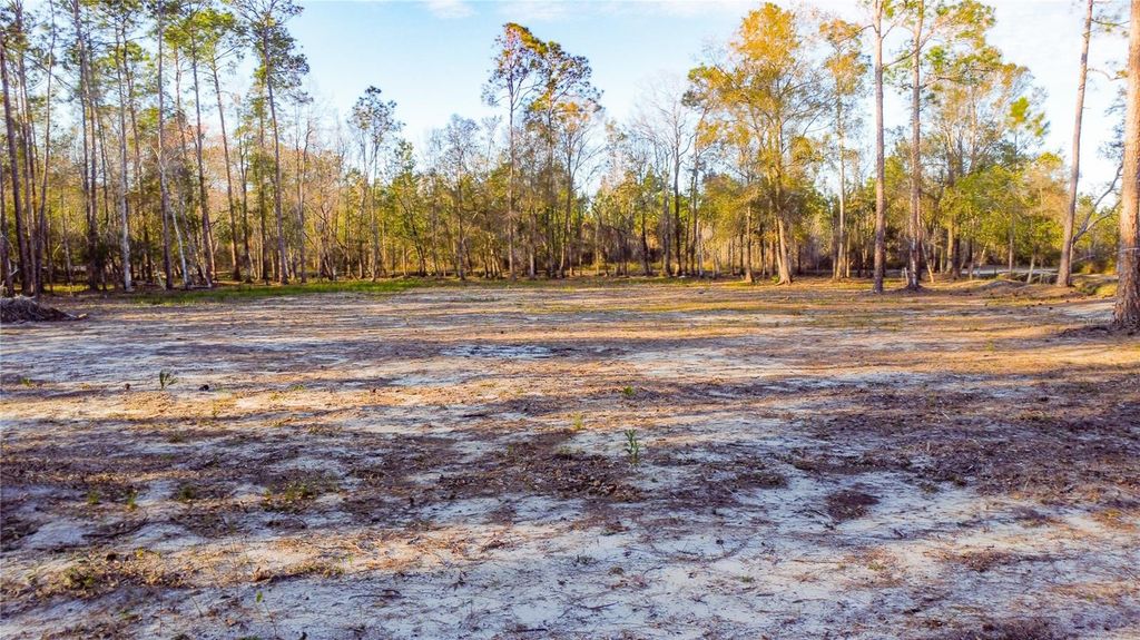 Image 3 of property listing at 0 STATE ROAD 33, Clermont, FL 34714