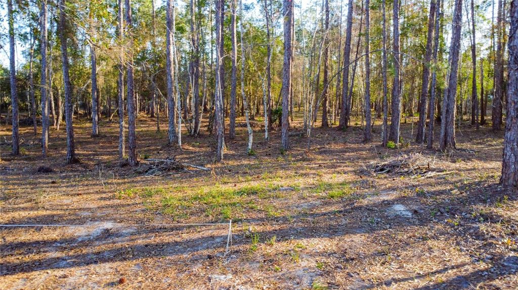Image 4 of property listing at 0 STATE ROAD 33, Clermont, FL 34714
