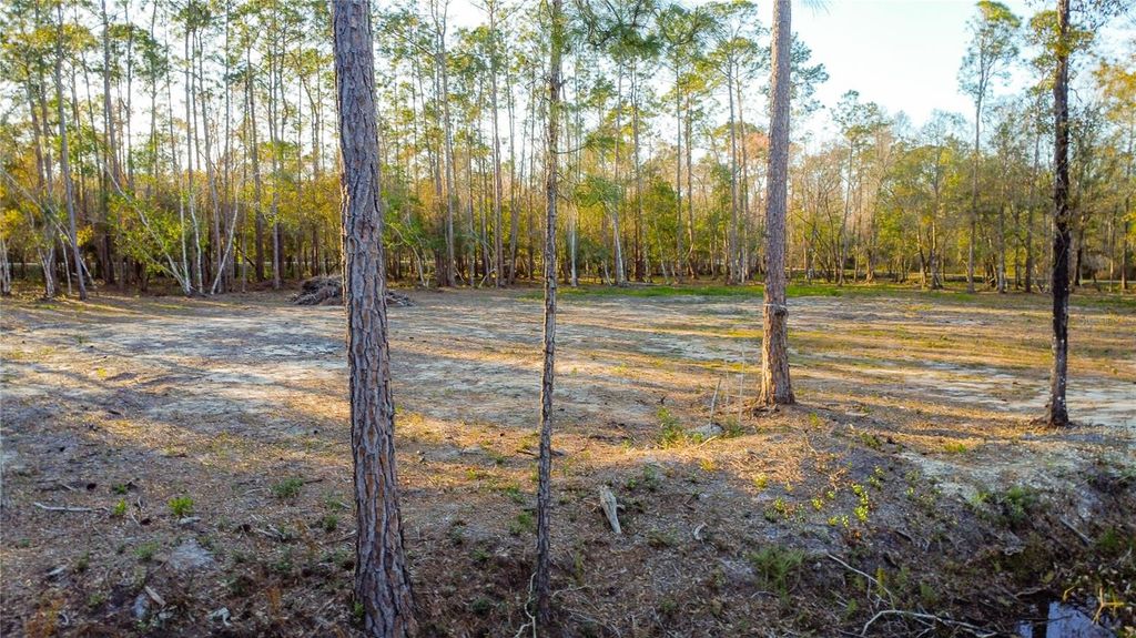 Image 7 of property listing at 0 STATE ROAD 33, Clermont, FL 34714
