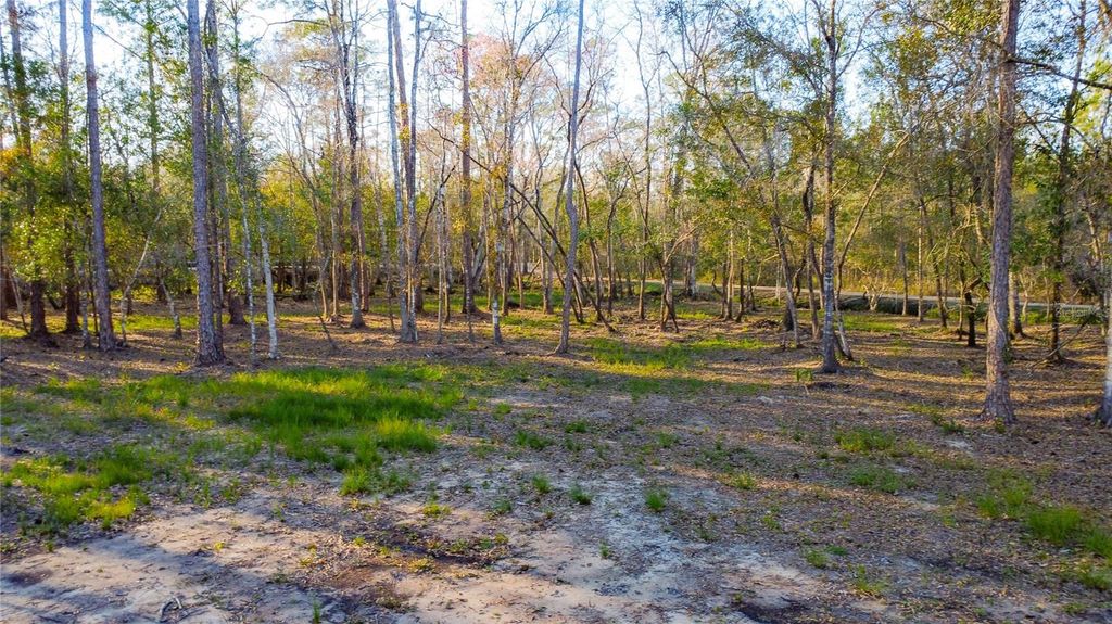 Image 8 of property listing at 0 STATE ROAD 33, Clermont, FL 34714
