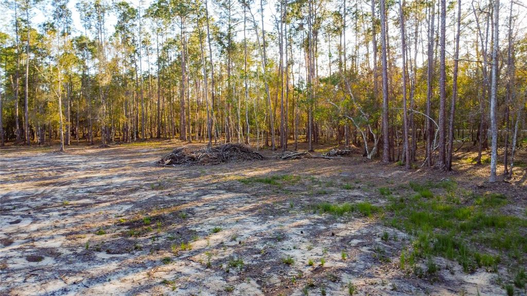 Image 9 of property listing at 0 STATE ROAD 33, Clermont, FL 34714