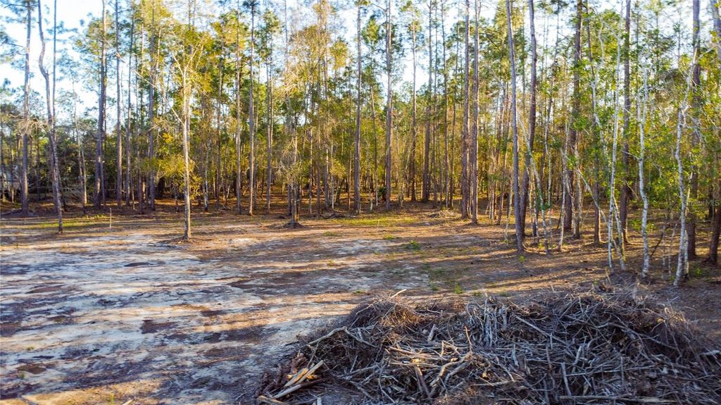 Image 10 of property listing at 0 STATE ROAD 33, Clermont, FL 34714