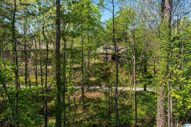 139 PARK LAKE TRACE, Helena, AL 35080