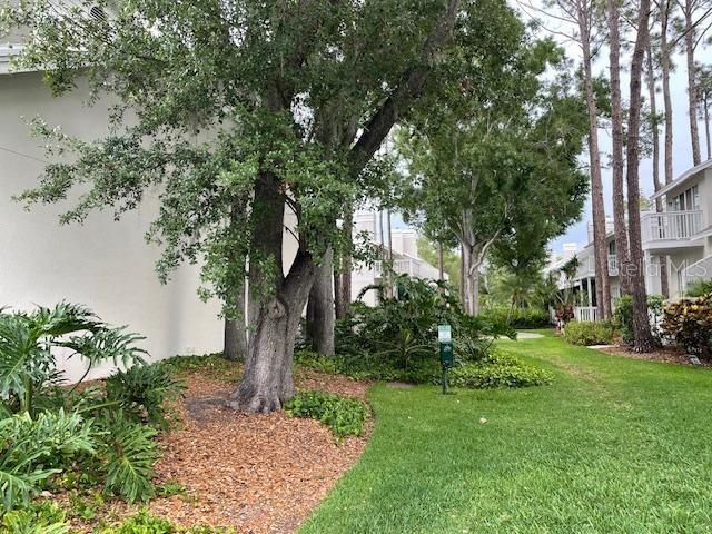 5112 BAYSHORE BOULEVARD, Tampa, FL 33611