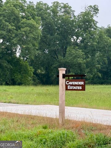 0 Bob Smith Road 2, Sharpsburg, GA 30277