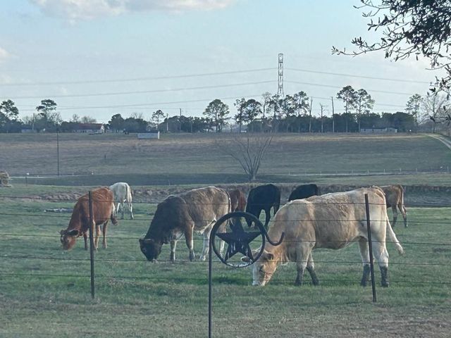 1100 Swiss Alp Hills Loop, Schulenburg, TX 78956