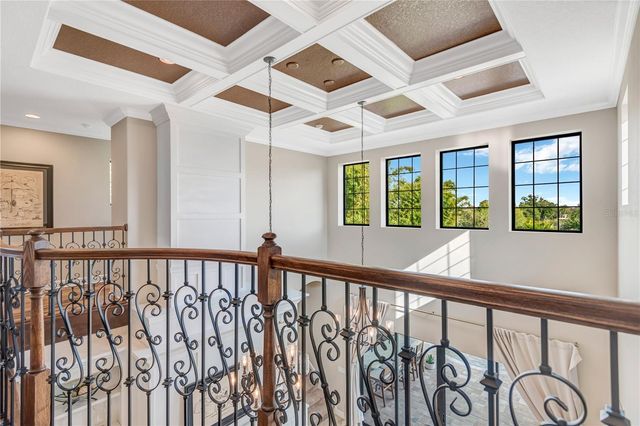 14811 DONALD ROSS COURT, Tampa, FL 33626