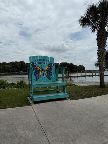 233 S RHODES STREET, Mount Dora, FL 32757