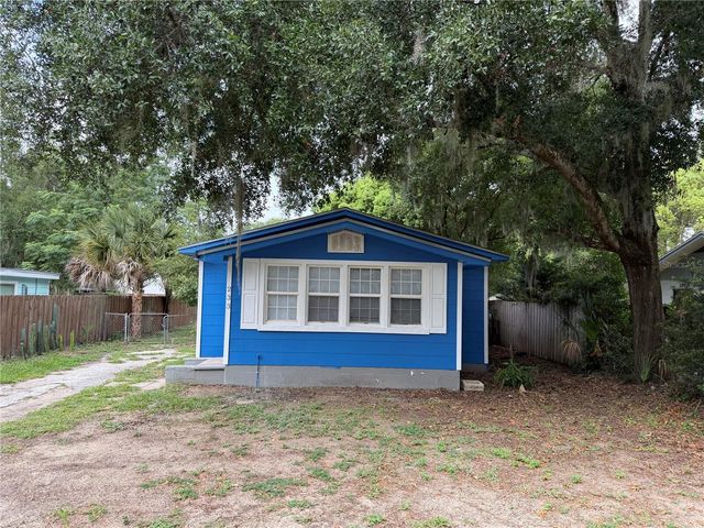 233 S RHODES STREET, Mount Dora, FL 32757