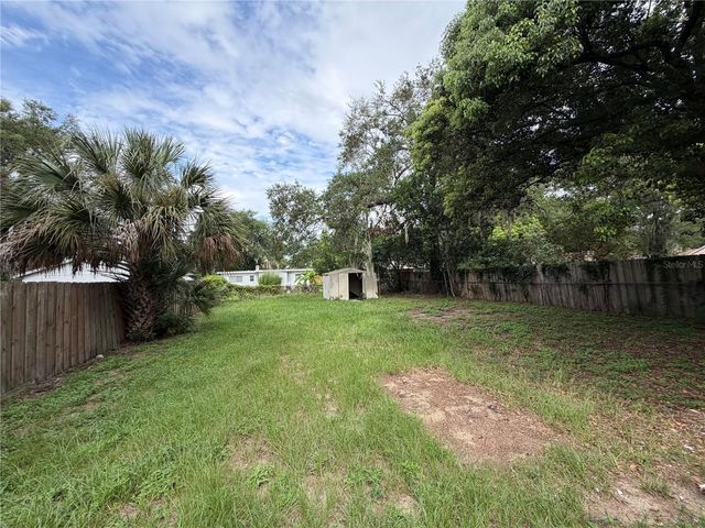 233 S RHODES STREET, Mount Dora, FL 32757