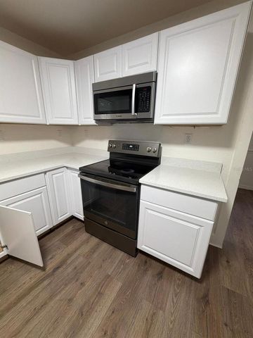 233 S RHODES STREET, Mount Dora, FL 32757