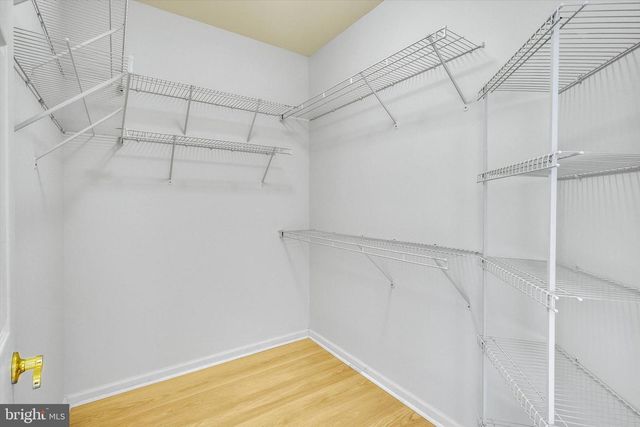 321 MASTERSON CT, Ewing, NJ 08618