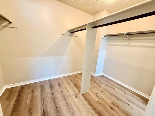 7915 Kendalia Drive, Houston, TX 77036