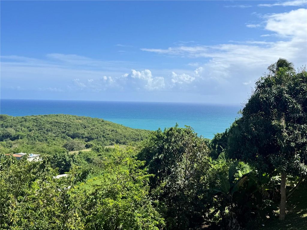 Image 16 of property listing at ) BO. CAMINO NUEVO 2, Yabucoa, PR 00767