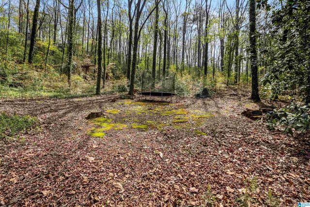 3541 OLD LEEDS COURT, Mountain Brook, AL 35213