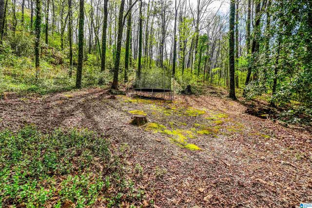 3541 OLD LEEDS COURT, Mountain Brook, AL 35213