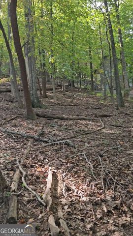 315 Windflower Drive, Big Canoe, GA 30143