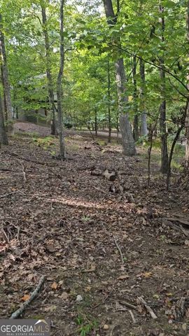 315 Windflower Drive, Big Canoe, GA 30143