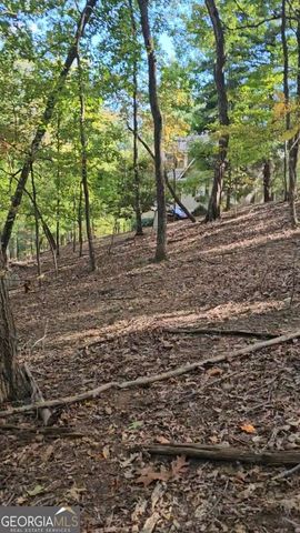 315 Windflower Drive, Big Canoe, GA 30143