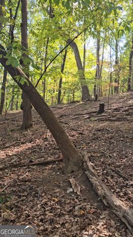 315 Windflower Drive, Big Canoe, GA 30143