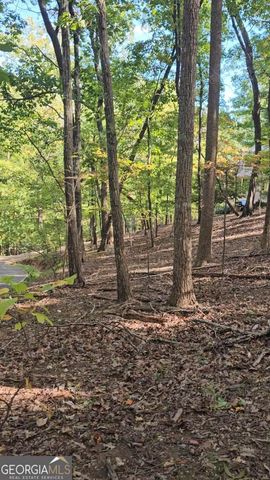 315 Windflower Drive, Big Canoe, GA 30143