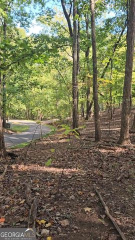 315 Windflower Drive, Big Canoe, GA 30143