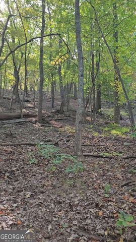 315 Windflower Drive, Big Canoe, GA 30143