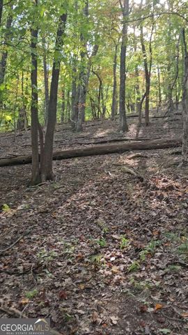 315 Windflower Drive, Big Canoe, GA 30143